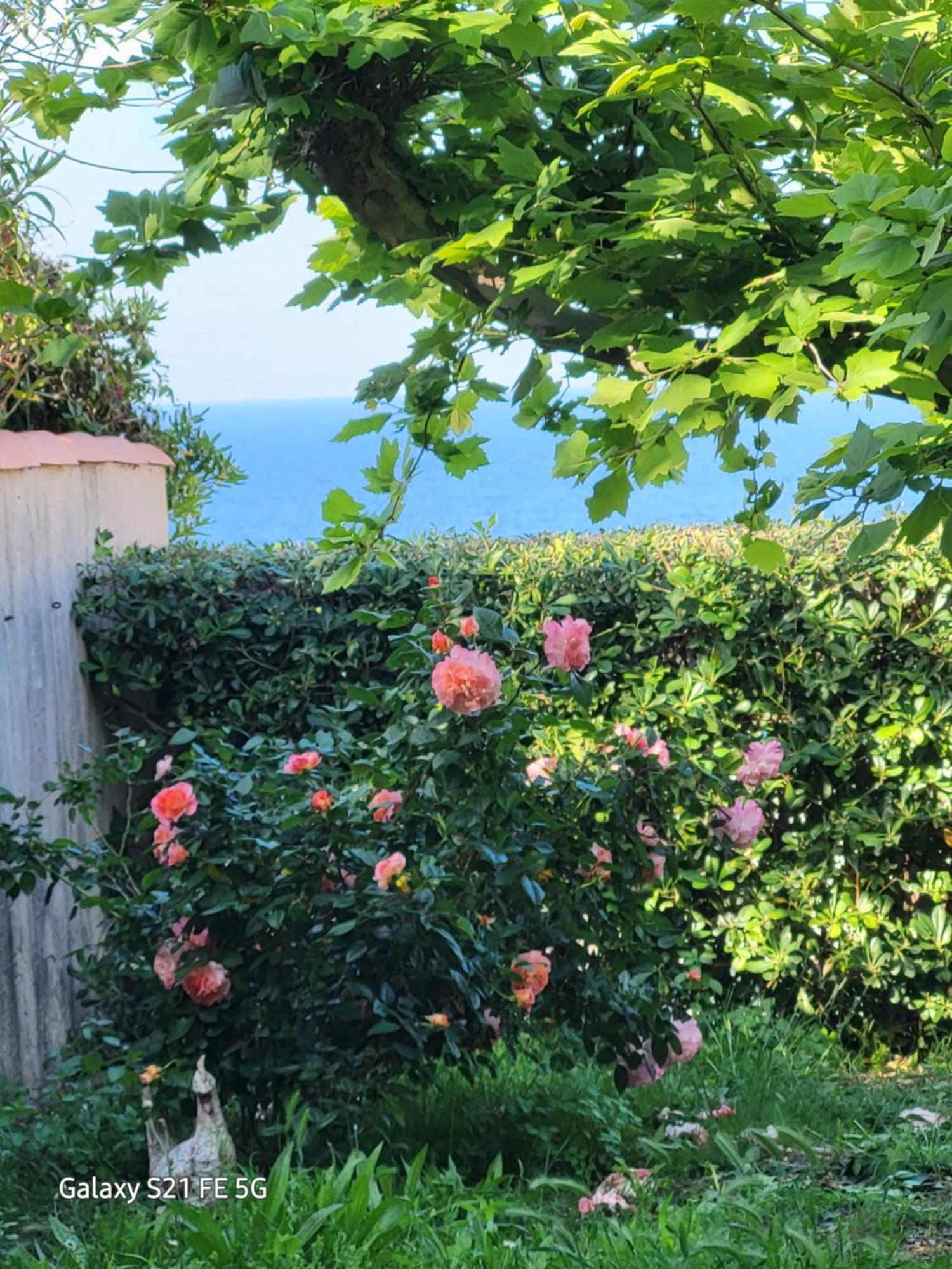 Bed and Breakfast Chez Isabelle Luri Экстерьер фото